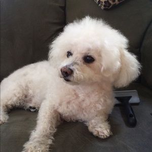 Meet your Posher, Myra